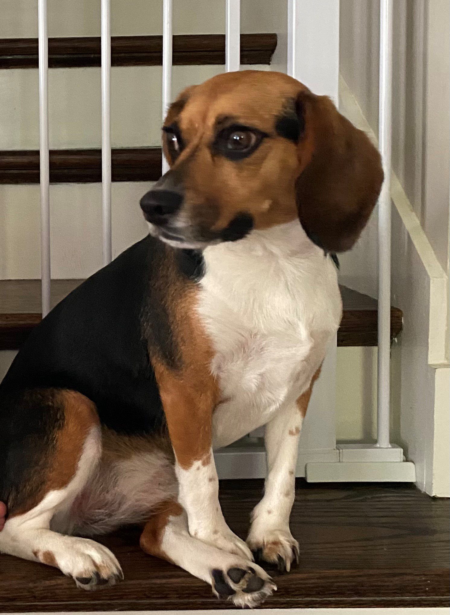 Zoe